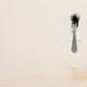 Image for article titled 8 Electrical Outlets That Would Love The Opportunity To Power A Coffee Maker